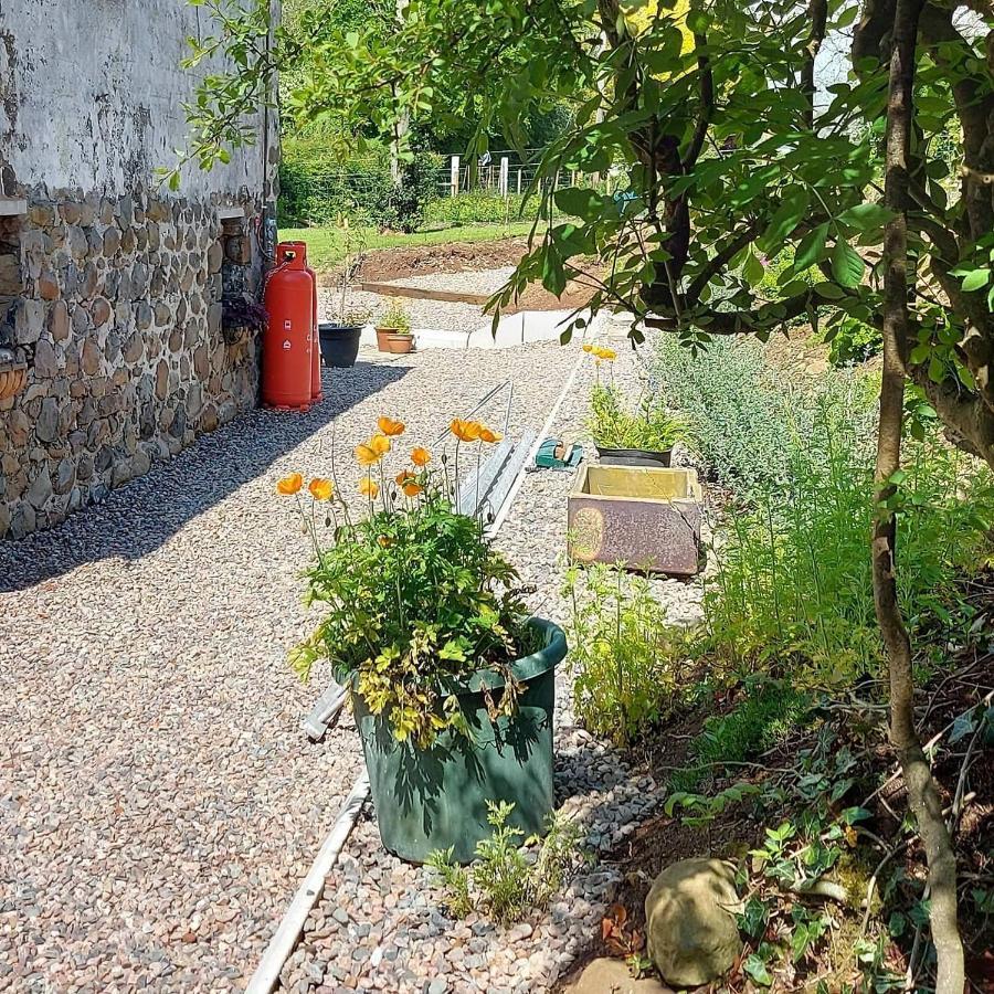 Blackshaw'S Studio Scolboa Buitenkant foto