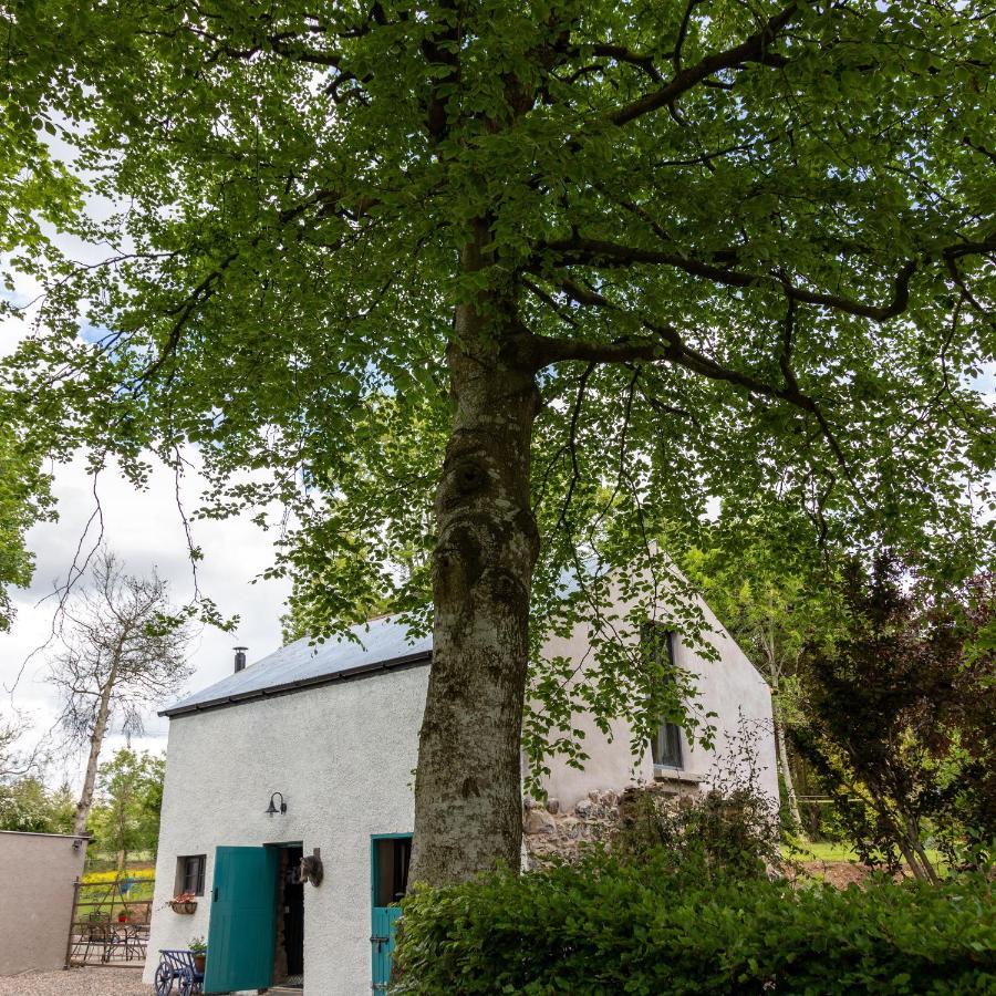 Blackshaw'S Studio Scolboa Buitenkant foto